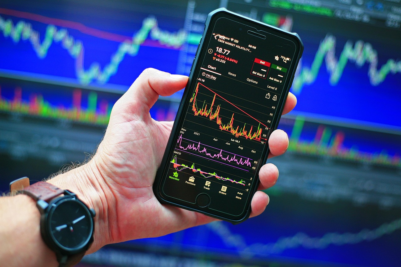 Investment article